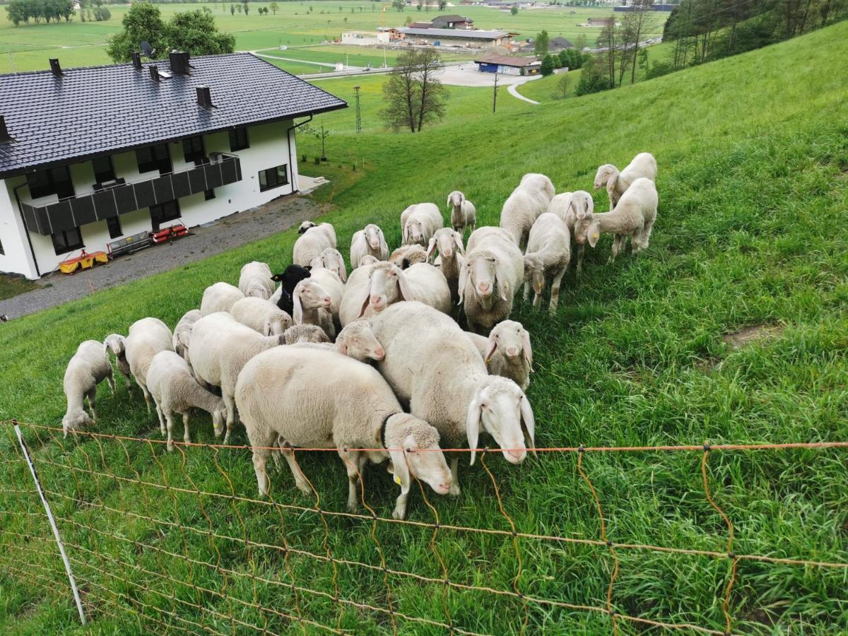 Apartament Aberghof Fügen Zewnętrze zdjęcie